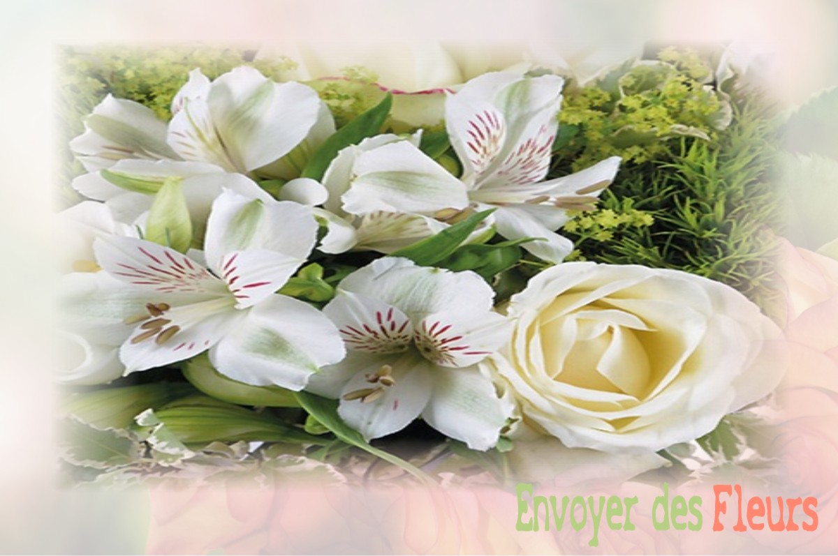 envoyer des fleurs à à SAINT-ETIENNE-DU-VALDONNEZ